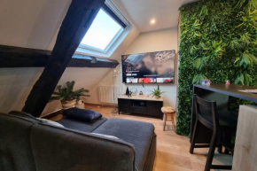 EL CIRCO - Atypical studio - City Centre - Netflix - Near Parking